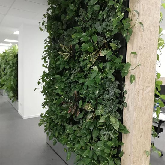 Livingwalls indoors